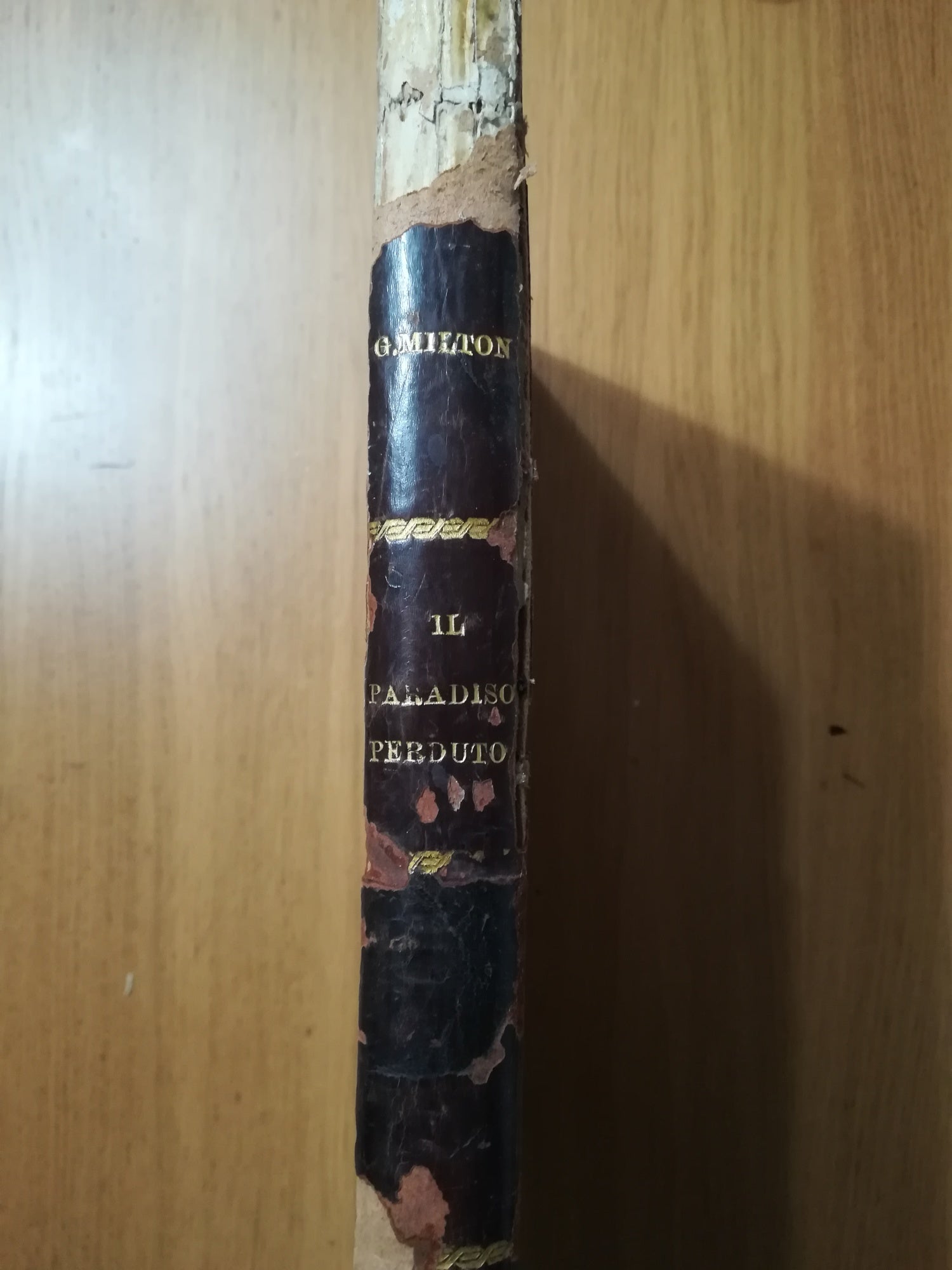 Il paradiso perduto - copertina