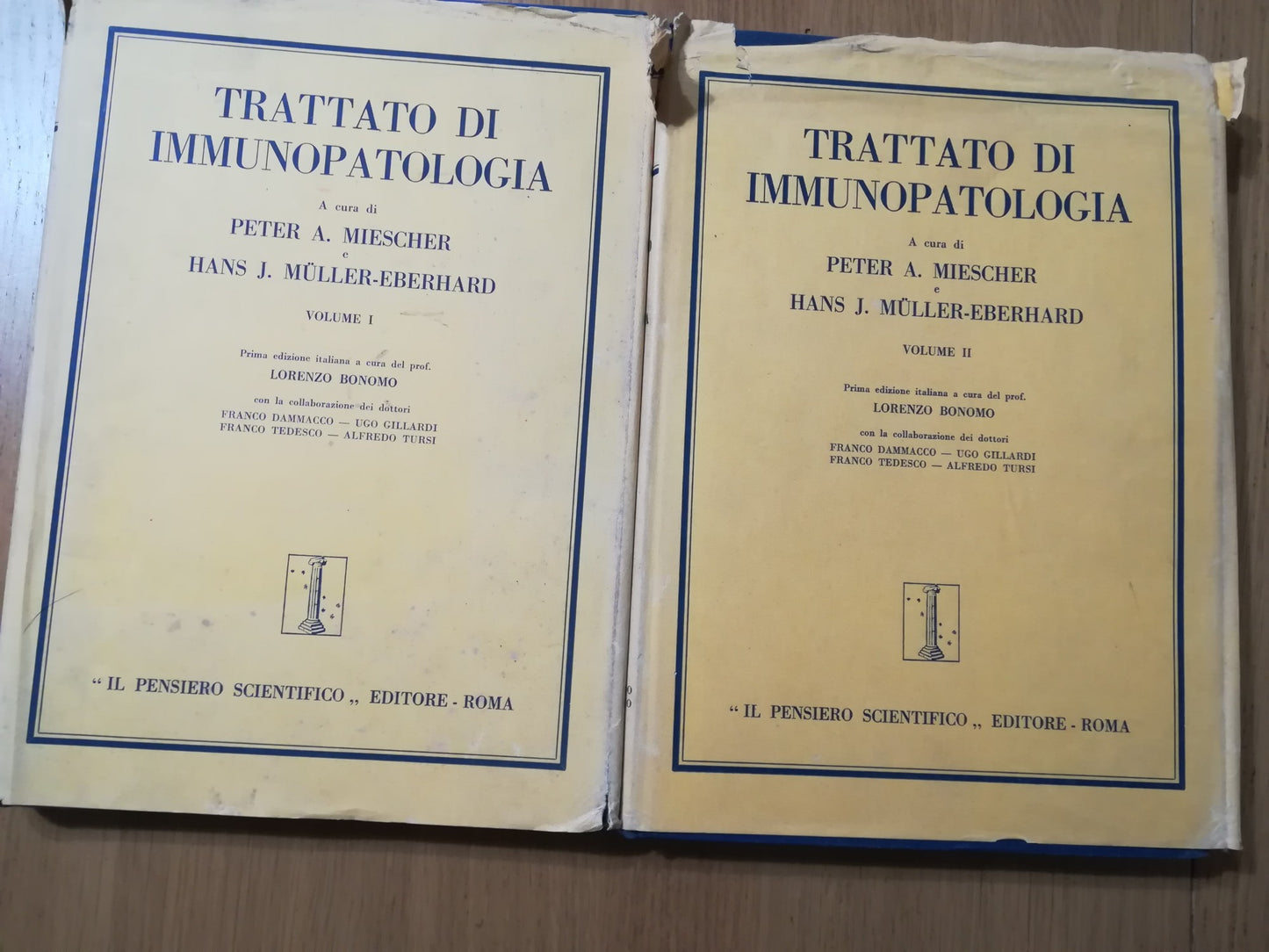Trattato di immunopatologia - copertina