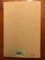 Il magnifico e la rinascita - copertina