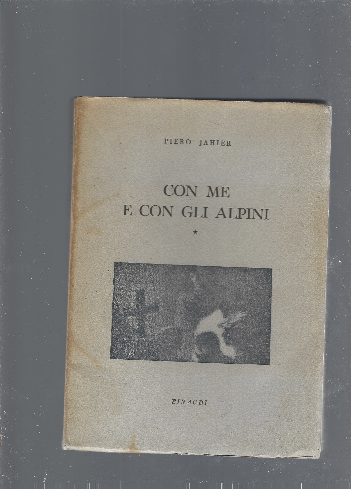 Con me e con gli alpini - copertina