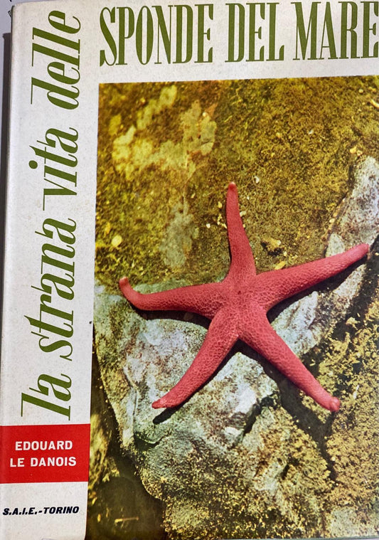 La strana vita delle sponde del mare - copertina