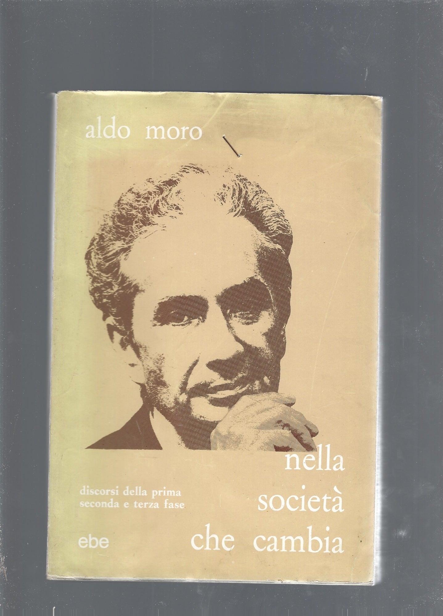 Nella società che cambia - copertina