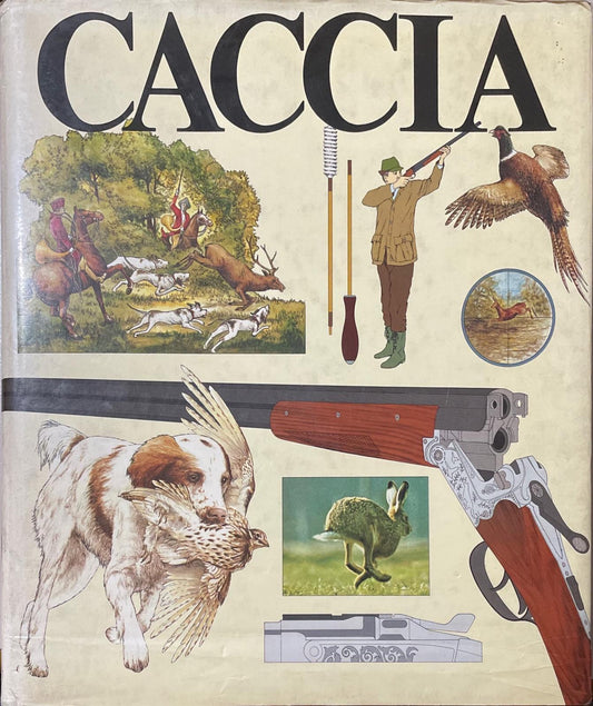 Caccia. - copertina
