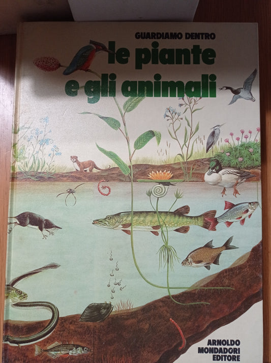 Guardiamo dentro le piante e gli animali - copertina