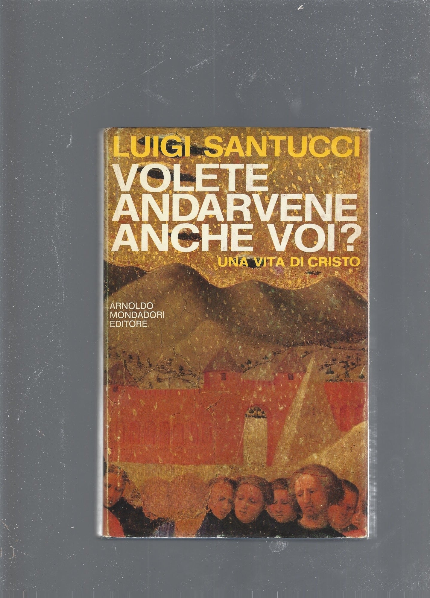 Volete andarvene anche voi? - copertina