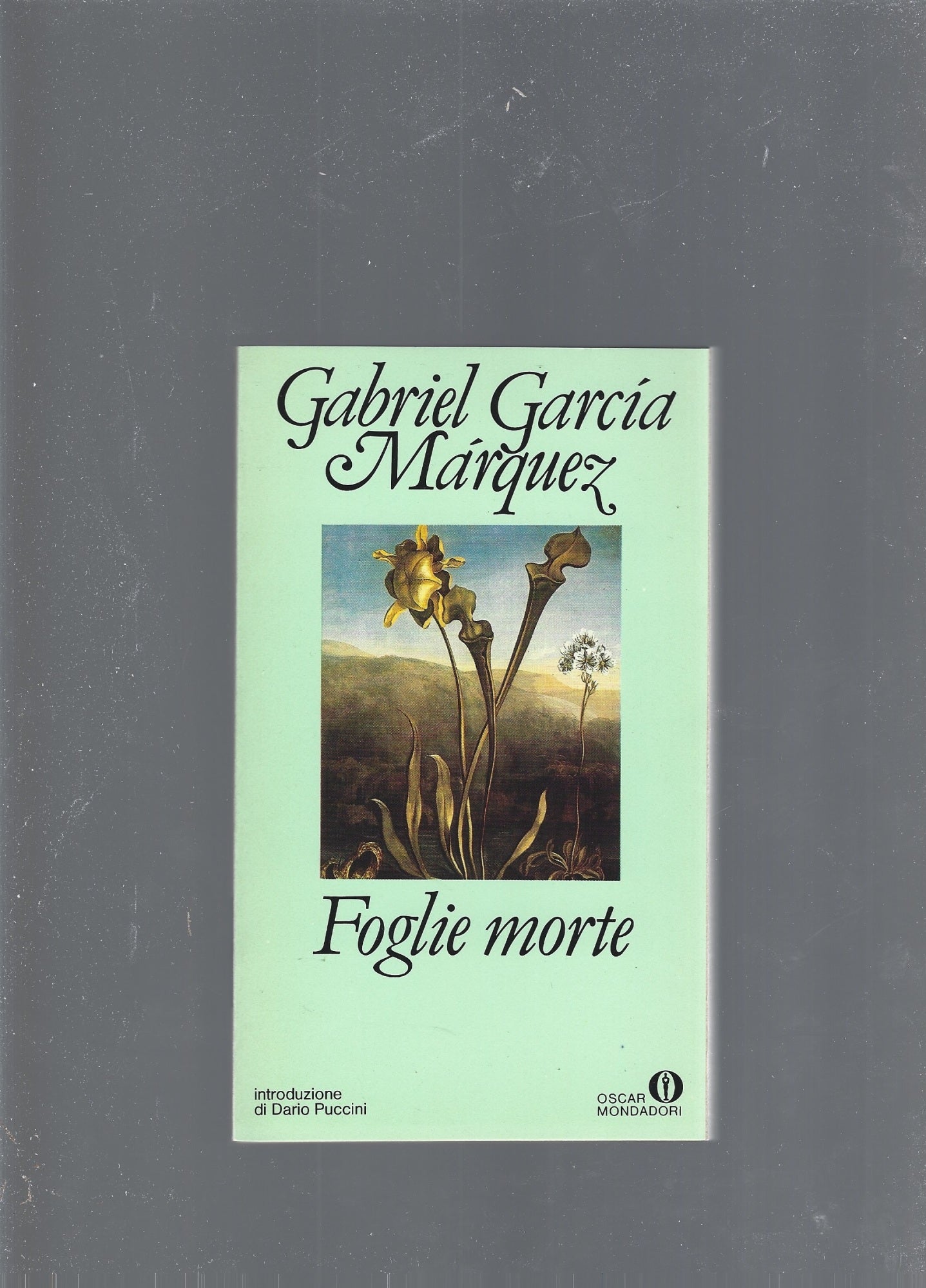 Foglie morte,  Nessuno scrive al colonnello - copertina