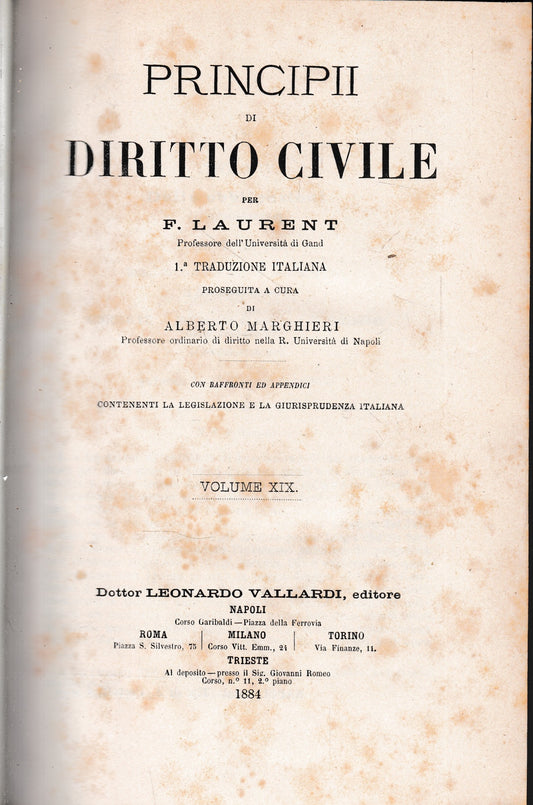 Principii di Diritto Civile, vol. 19 - copertina