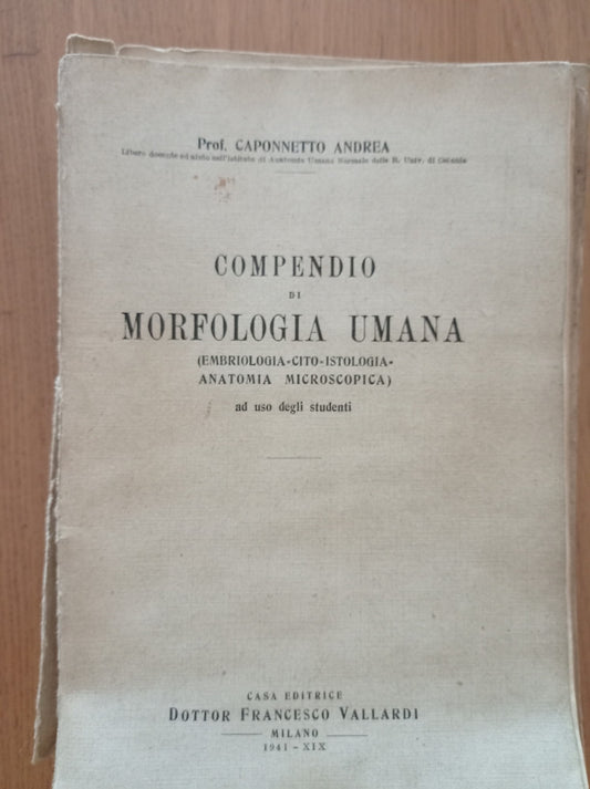 Compendio di morfologia umana - copertina