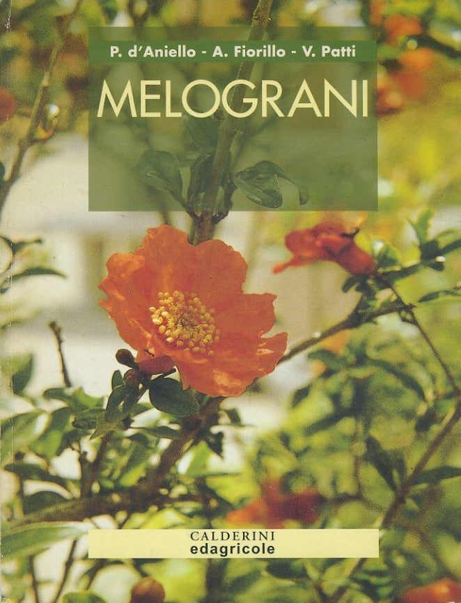 Melograni - copertina