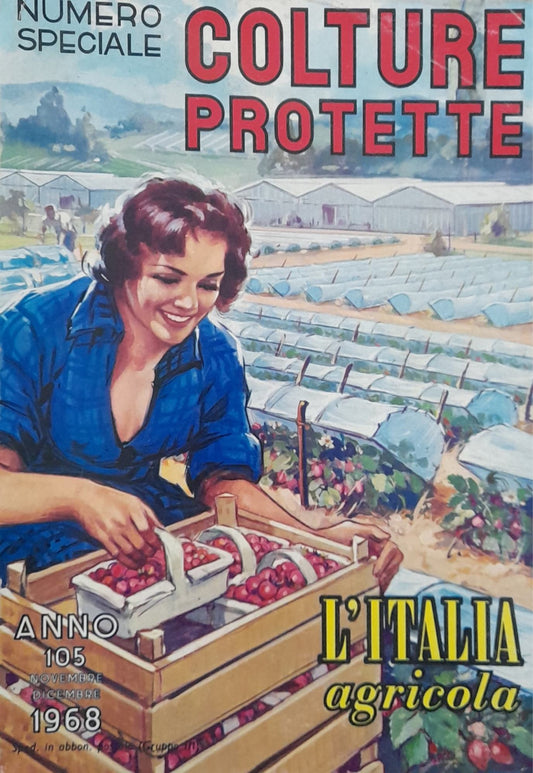 Colture protette. L'Italia agricola.  Anno 105 novembre e dicembre 1968 (numero speciale) - copertina
