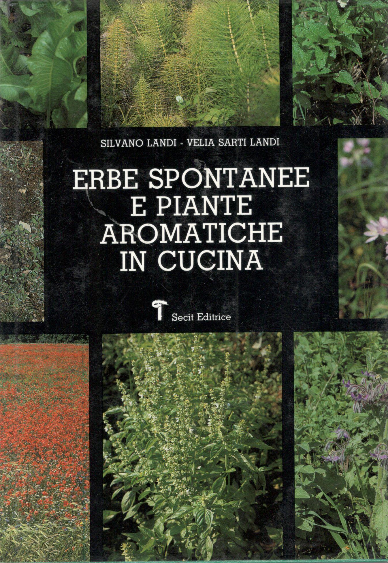 Erbe spontanee e piante aromatiche in cucina - copertina