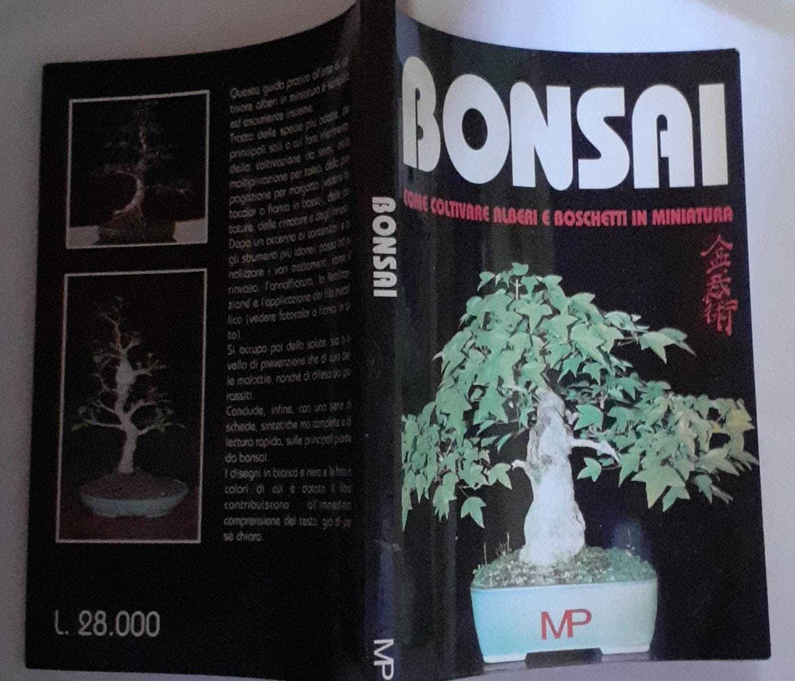 Bonsai come coltivare alberi e boschetti in miniatura - copertina