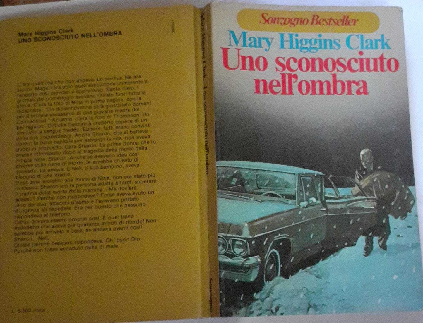 Uno sconosciuto nell'ombra - copertina