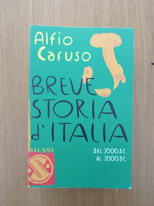 Breve storia d\'Italia. Dal 2000 a.C. al 2000 d.C. - copertina