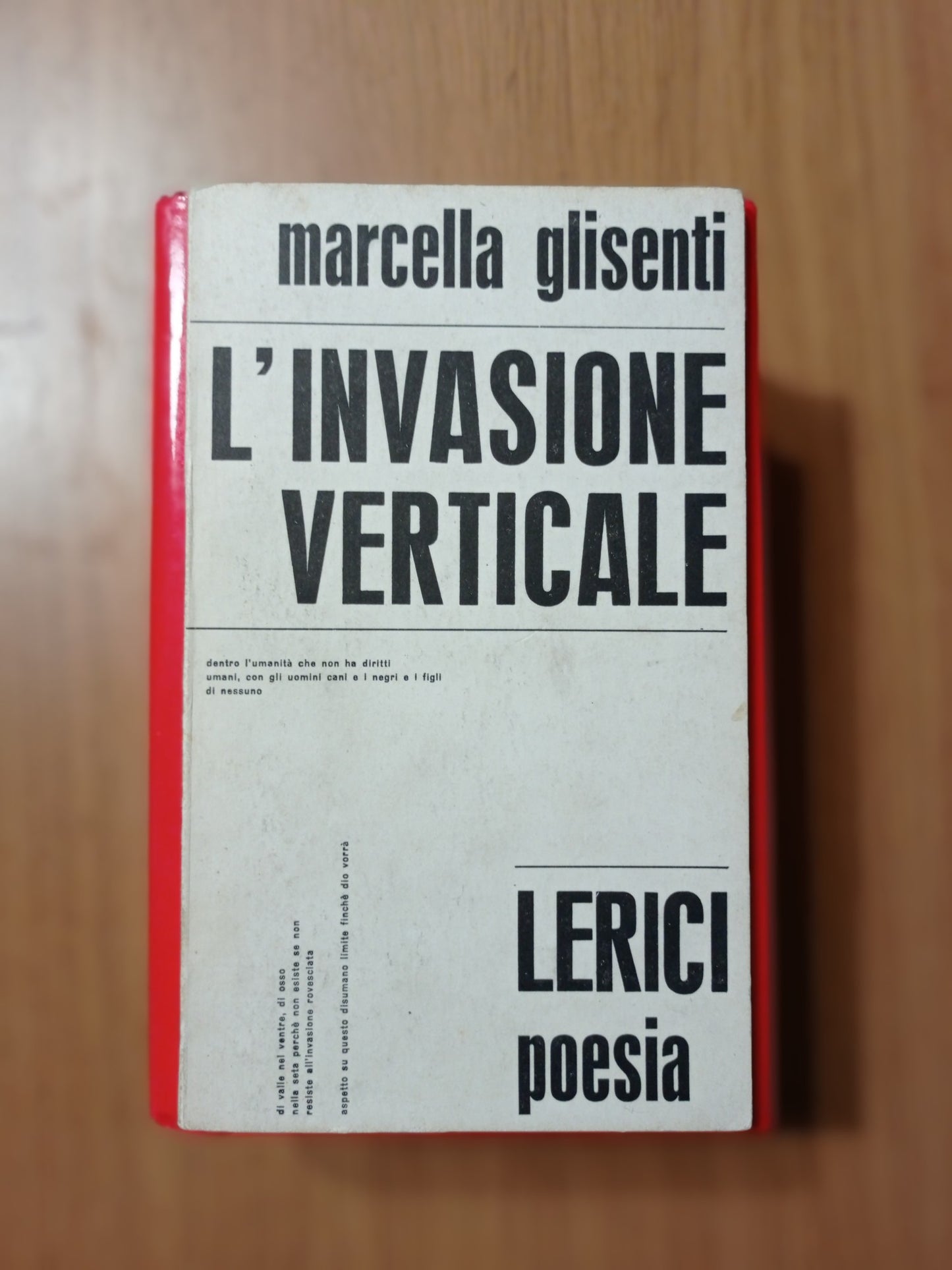 L'invasione verticale - copertina