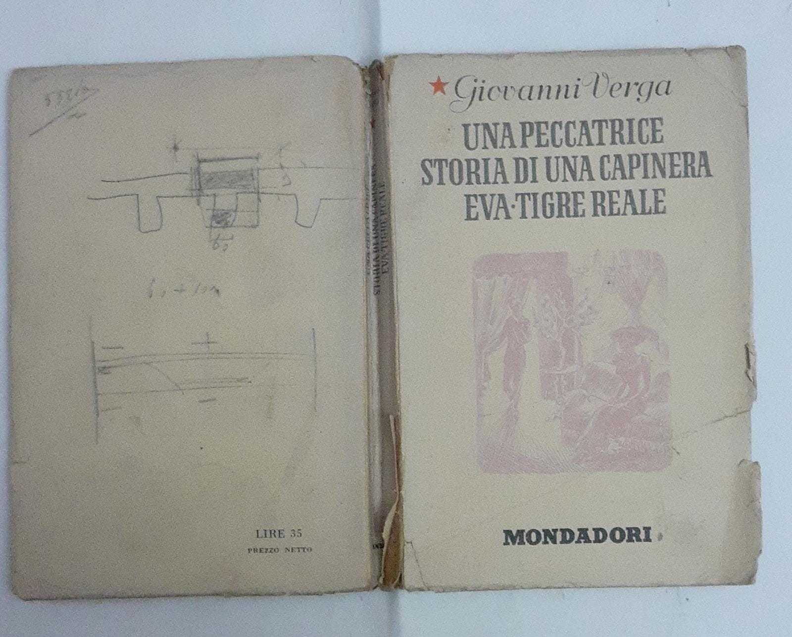 Una peccatrice storia di una capinera Eva- Tigre Reale - copertina
