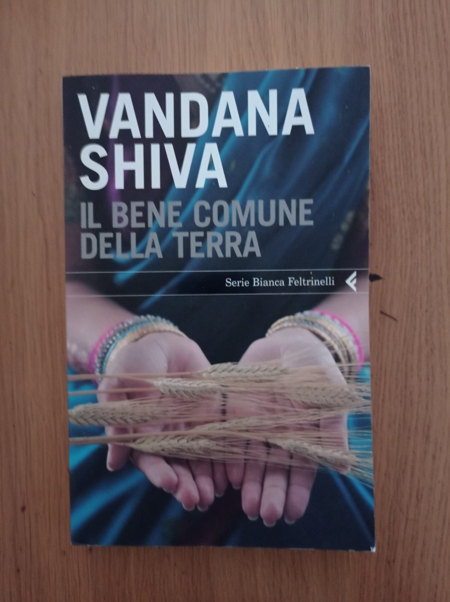 Il bene comune della Terra - copertina