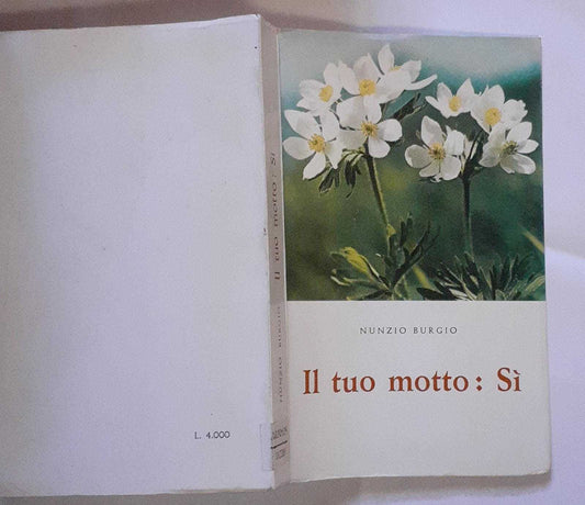 Il tuo motto: si (dagli scritti di Angelina Tricoli) - copertina