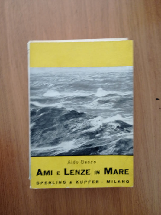 Ami e lenze in mare - copertina