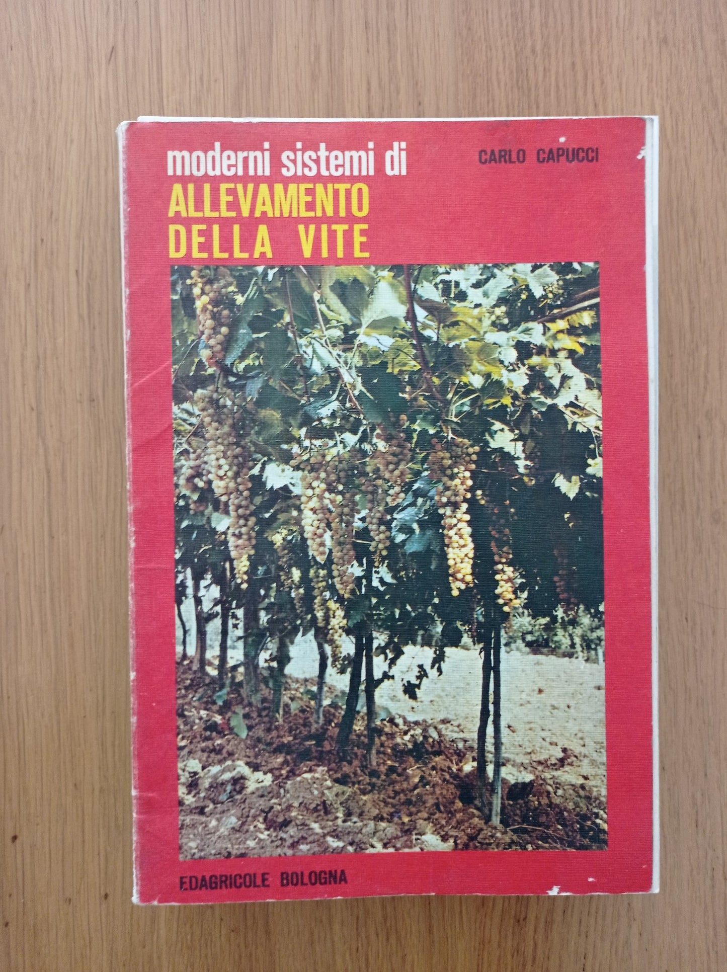Moderni sistemi di allevamento della vite - copertina