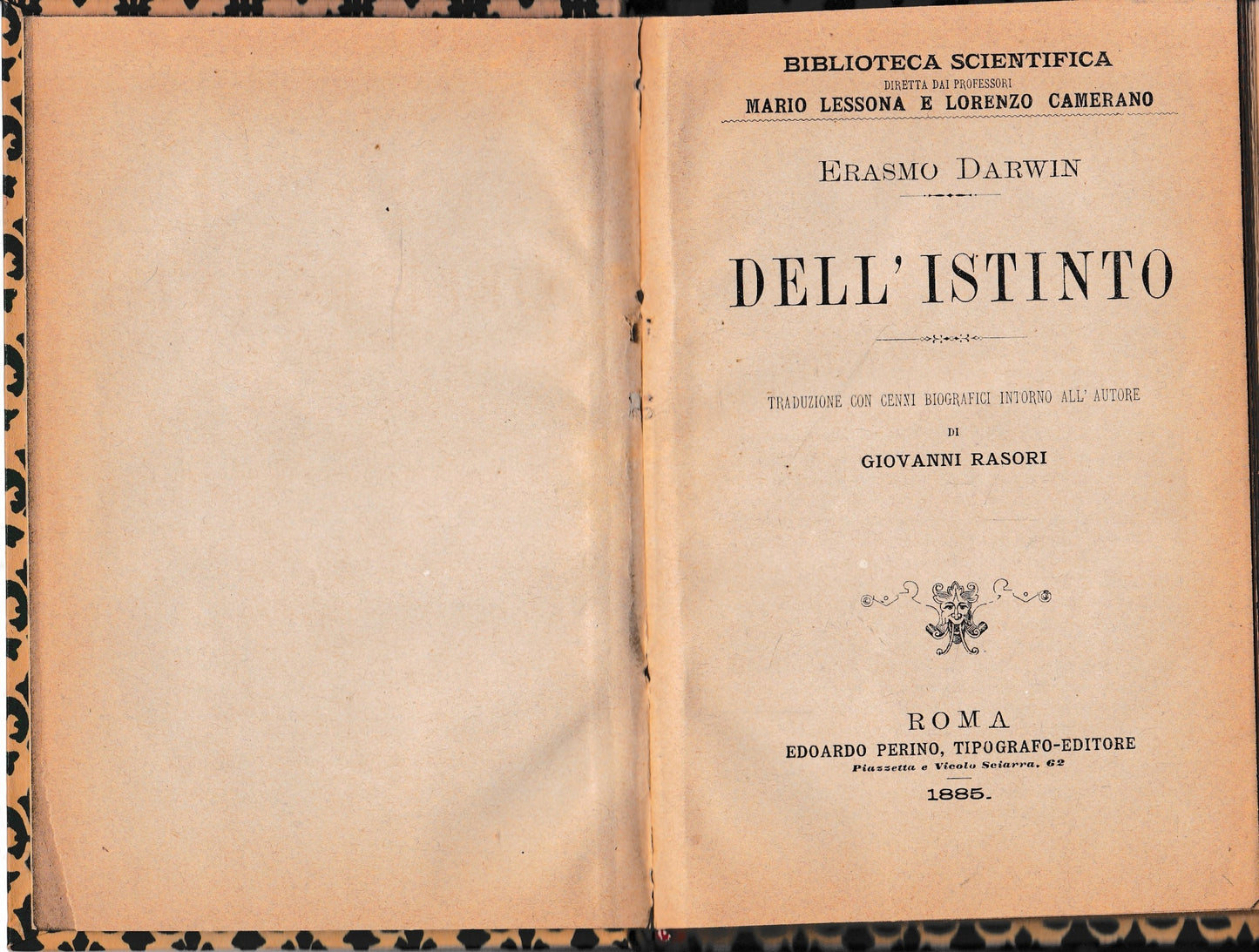 Dell'istinto - copertina