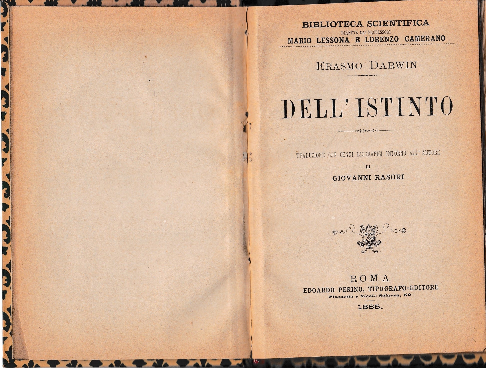 Dell'istinto - copertina