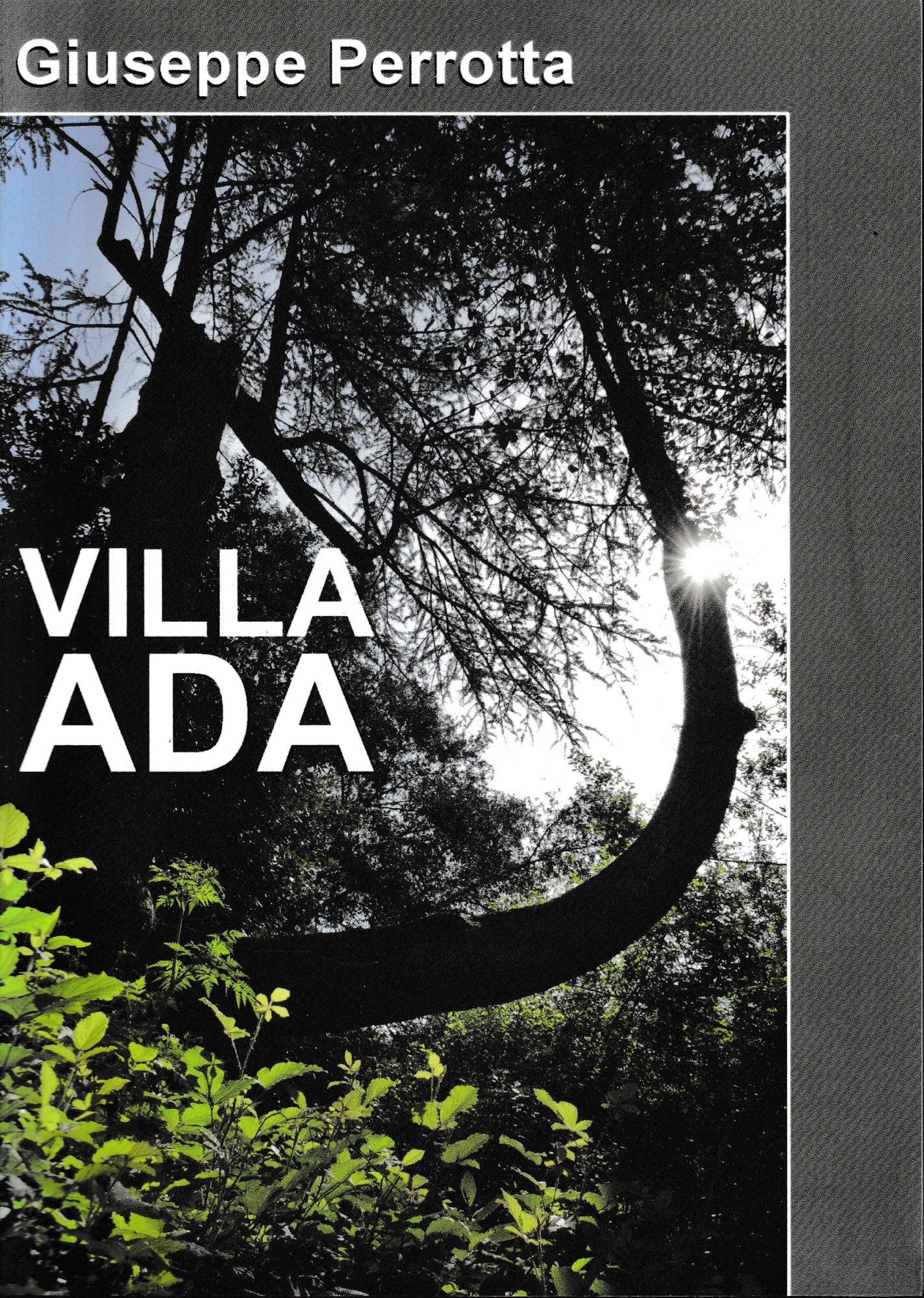 Villa Ada - copertina