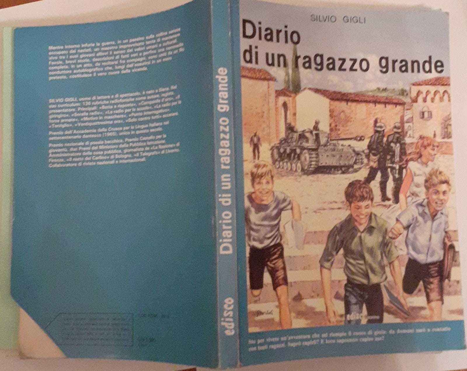 Diario di un ragazzo grande - copertina