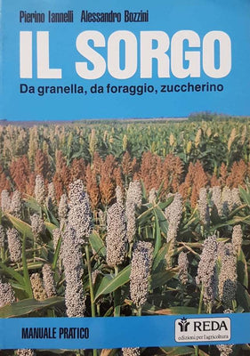 Il sorgo. Da granella, da foraggio, zuccherino