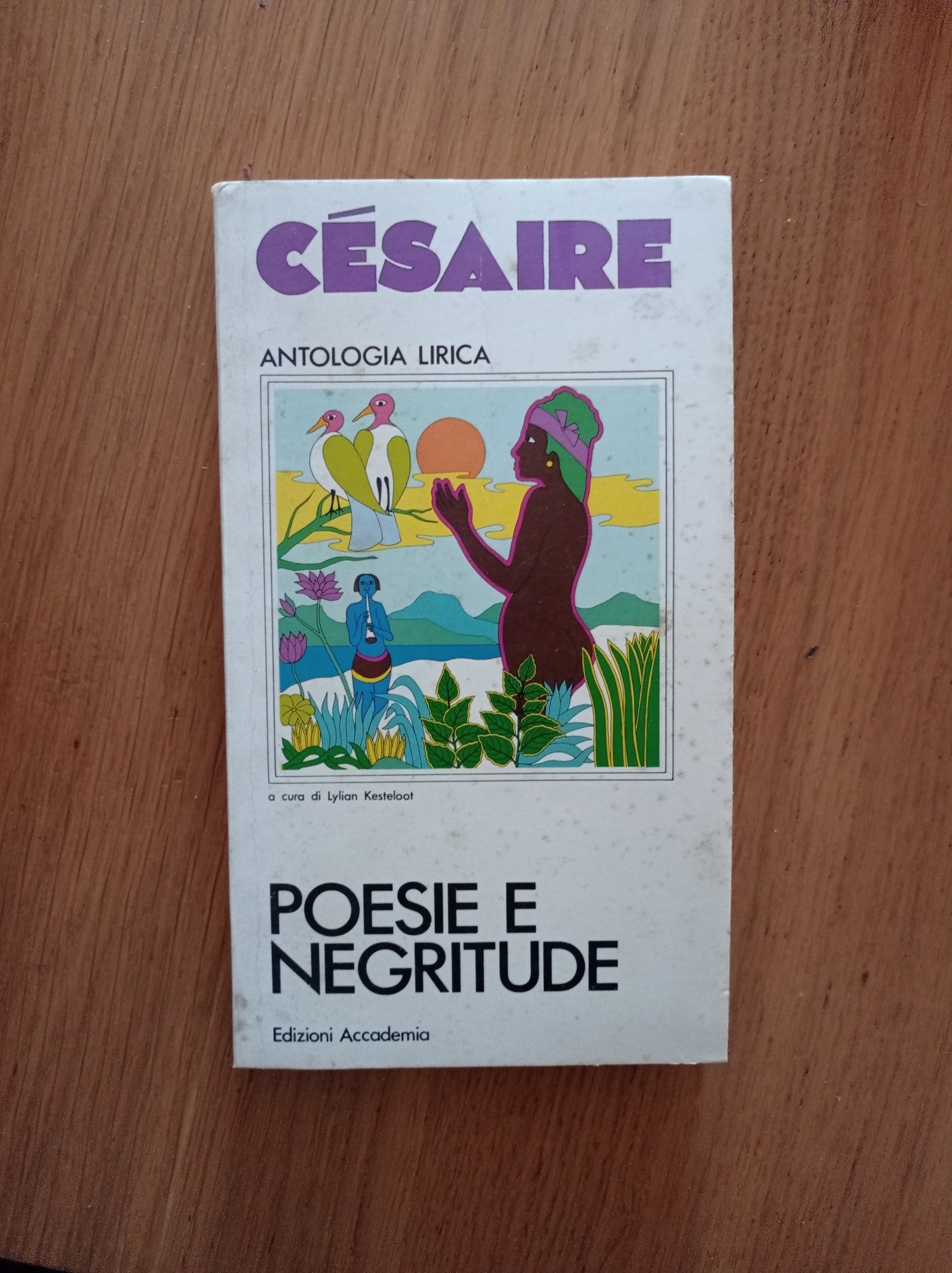 Poesie e negritude - copertina