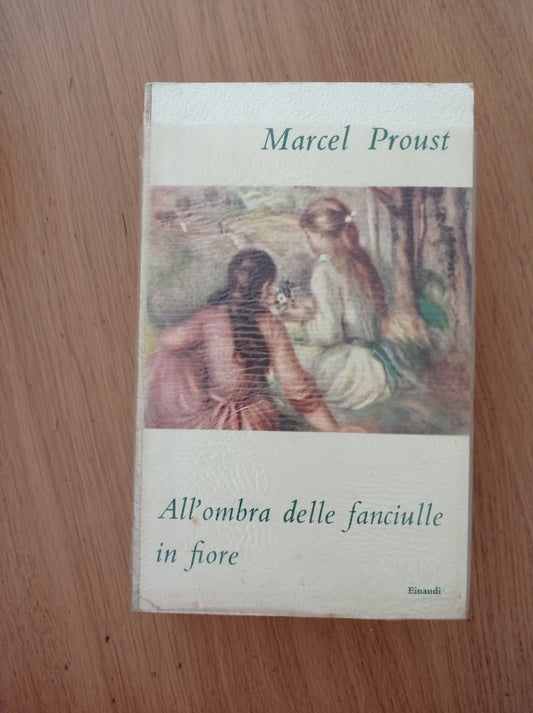 All' ombra delle fanciulle in fiore - copertina