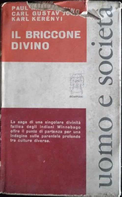 Il briccone divino - copertina