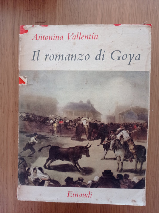 Il romanzo di Goya - copertina