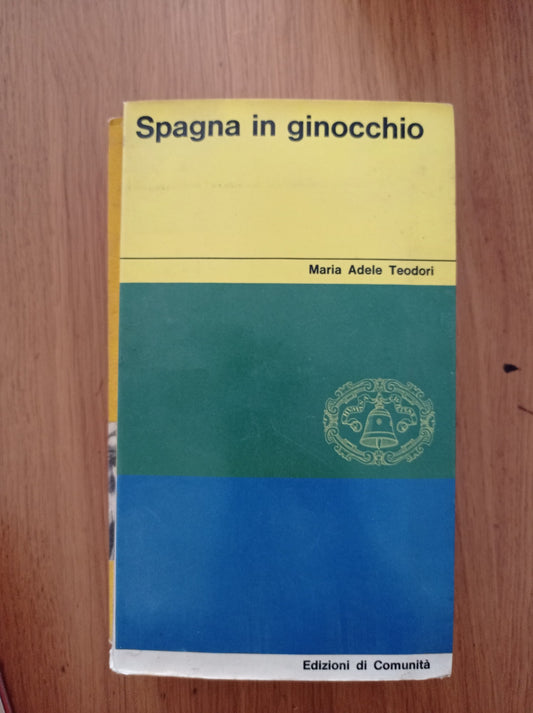 Spagna in ginocchio - copertina