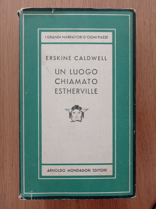 Un luogo chiamato Estherville - copertina