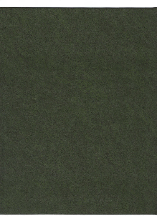 Collezione soldatini di piombo - copertina