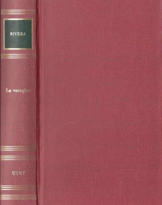 La voragine - copertina