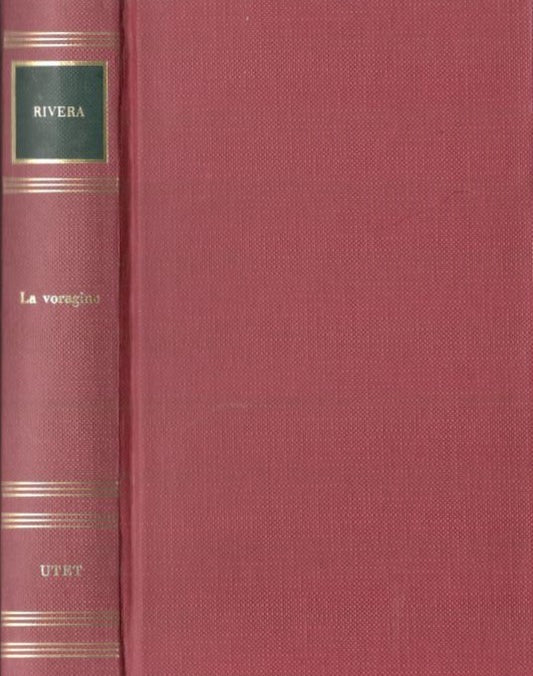 La voragine - copertina