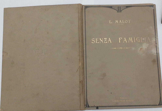 Senza famiglia - copertina