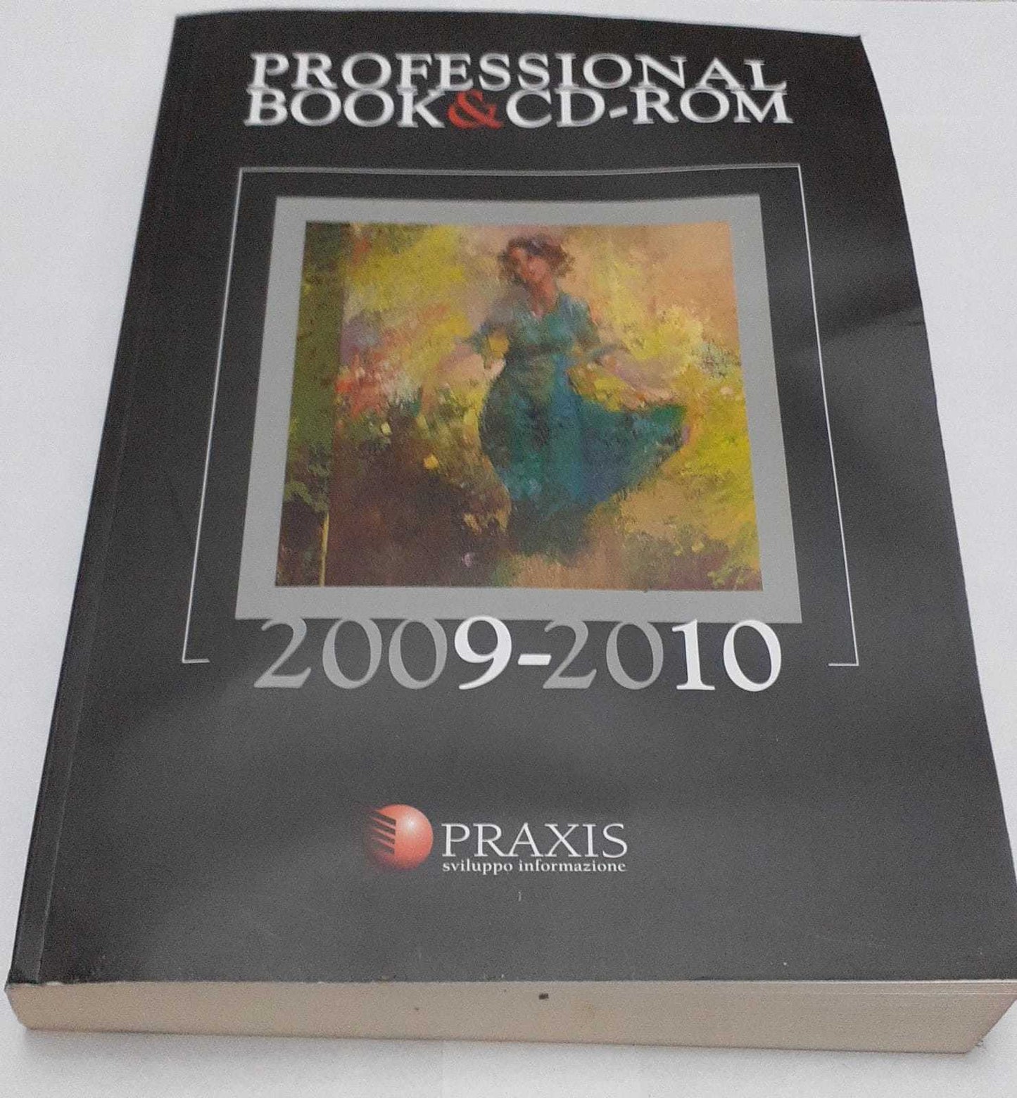 Professional book&cd-rom. Ricerche e consulenze giuridiche. Ricerche e consulenze fiscali. Ricerche e consulenze tecniche - copertina