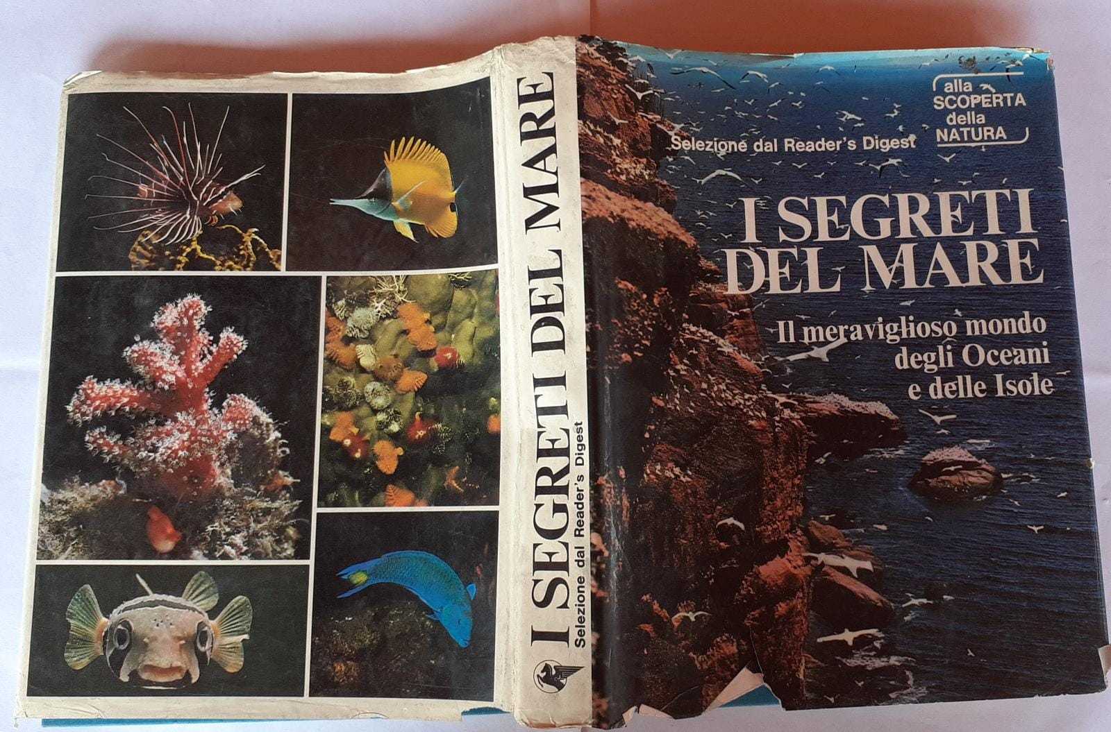 I segreti del mare. Il meraviglioso mondo degli Oceani e delle Isole - copertina