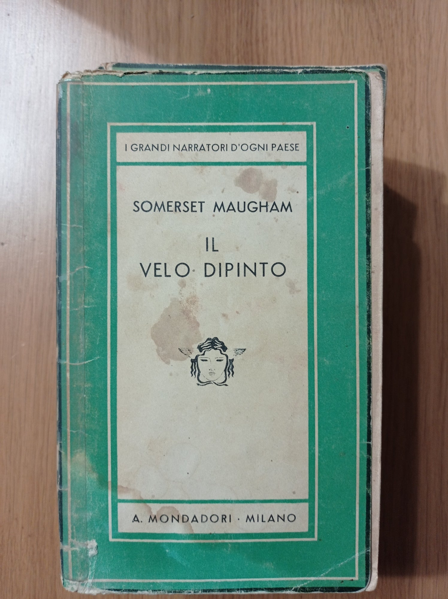 Il velo dipinto - copertina