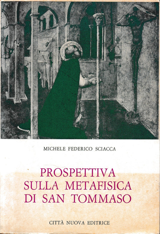 Prospettiva sulla metafisica di San Tommaso - copertina