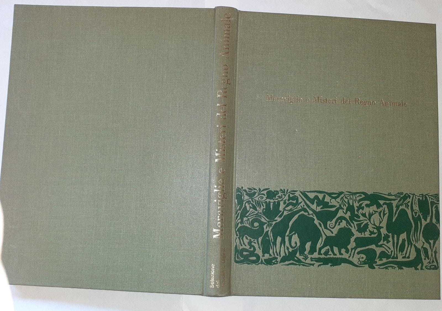 Meraviglie e Misteri del Regno Animale - copertina