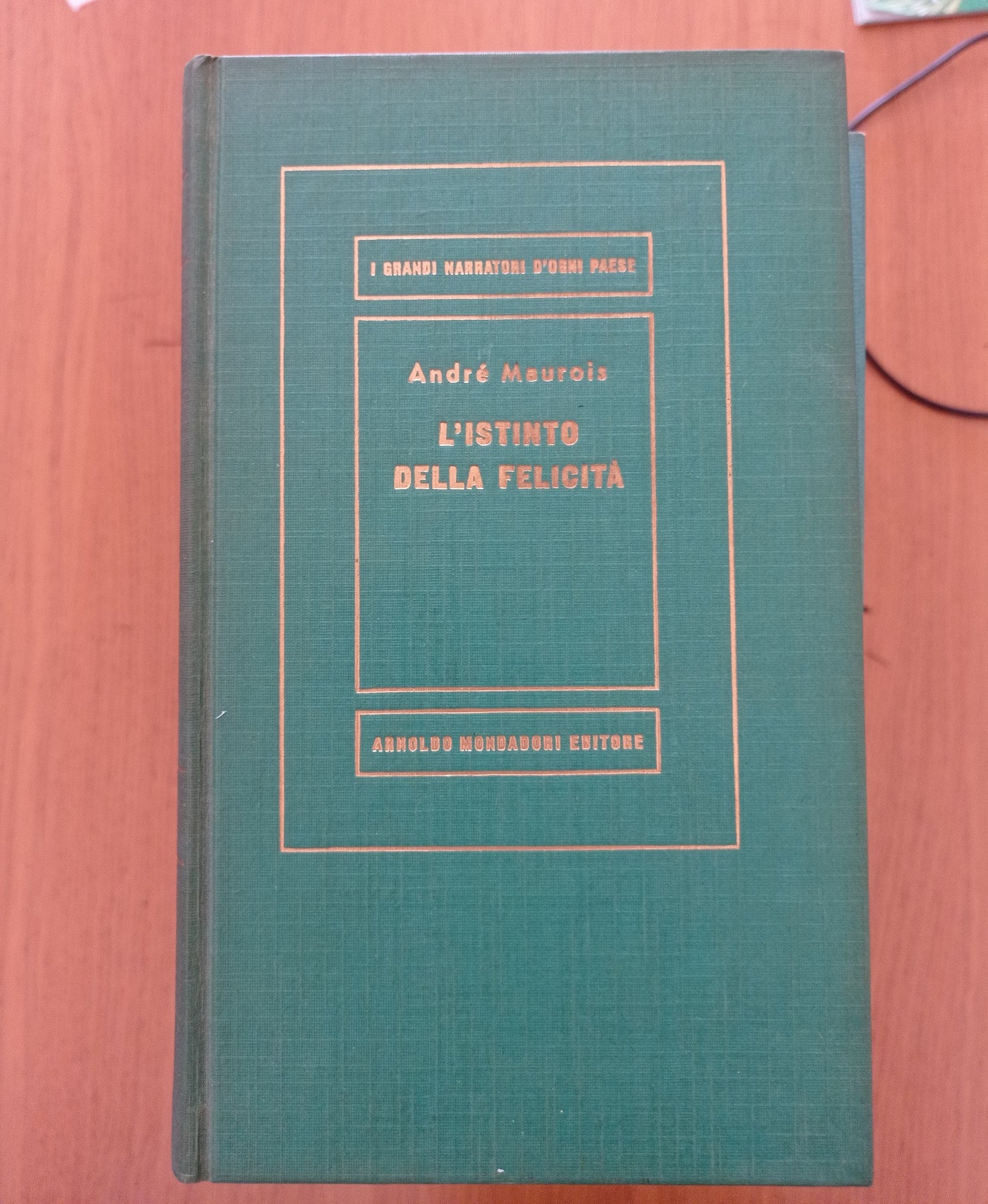 L' istinto della felicità - copertina