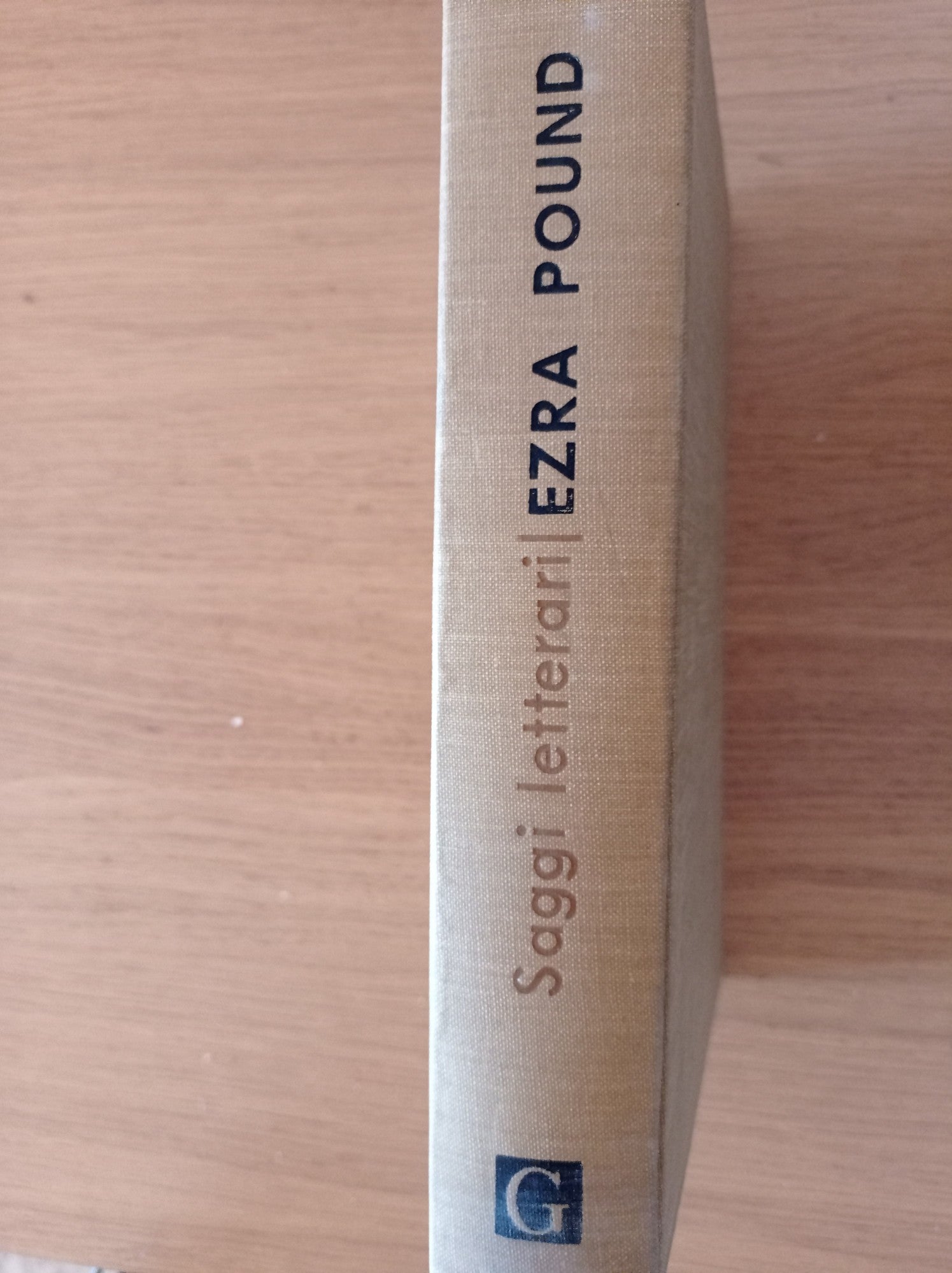 Saggi letterari - copertina