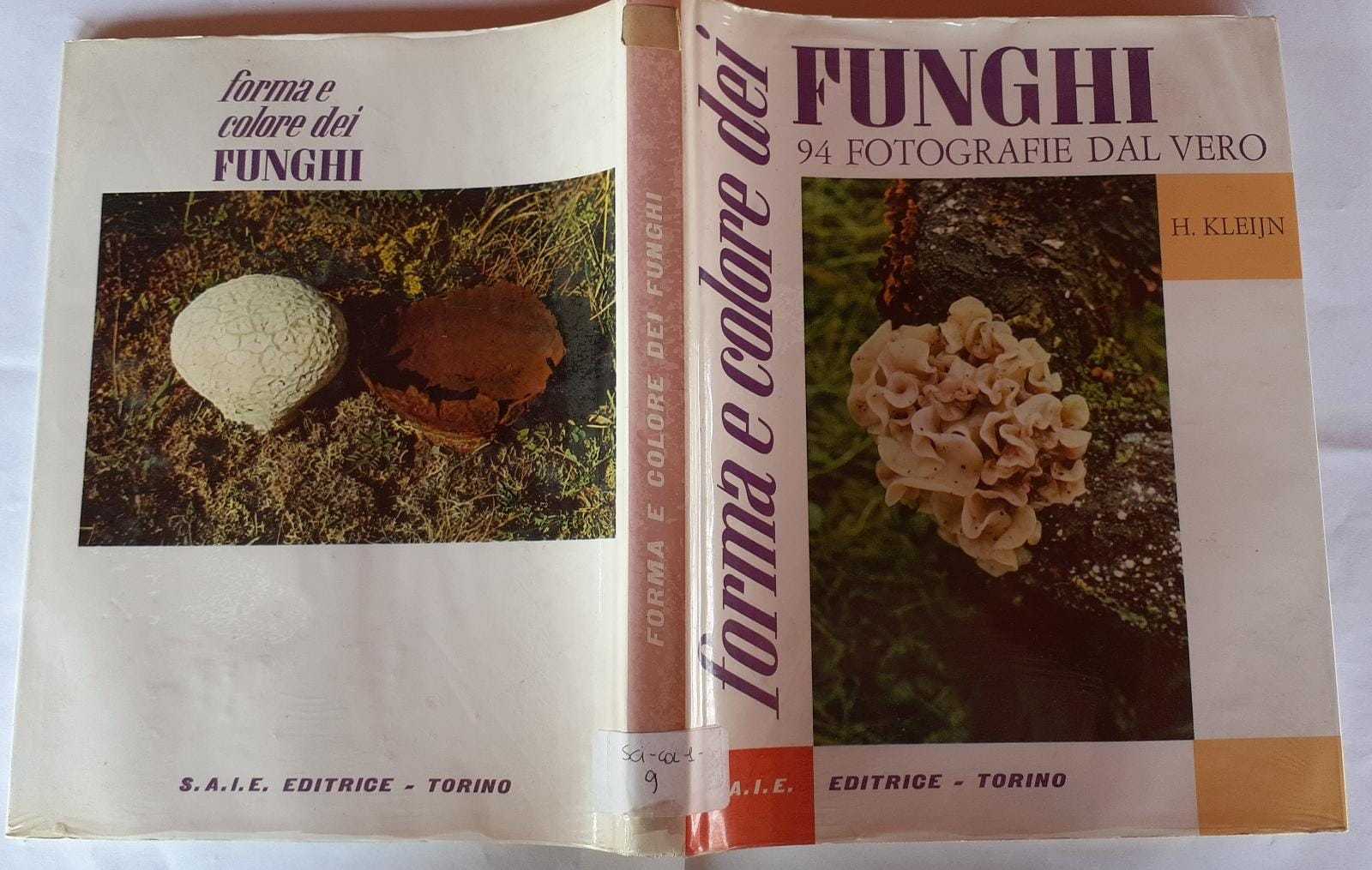 Forma e colore dei funghi - copertina