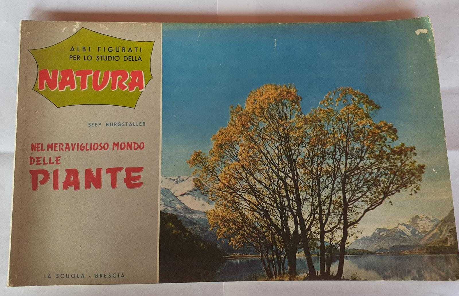 Albi figurati per lo studio della natura nel meraviglioso mondo delle piante - copertina