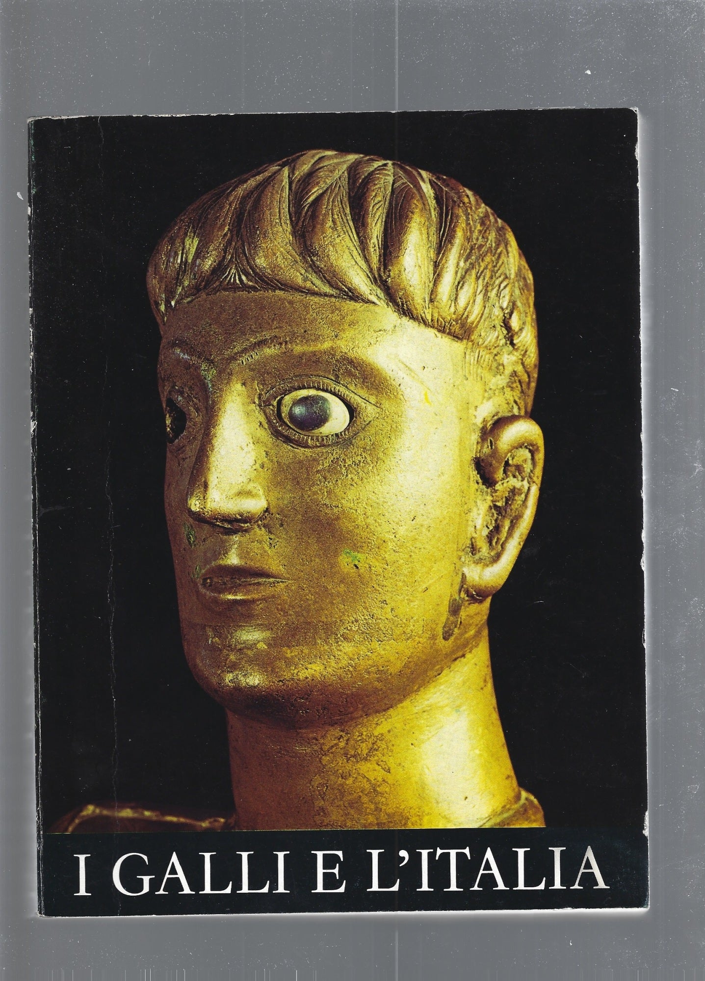 I Galli e l'Italia - copertina
