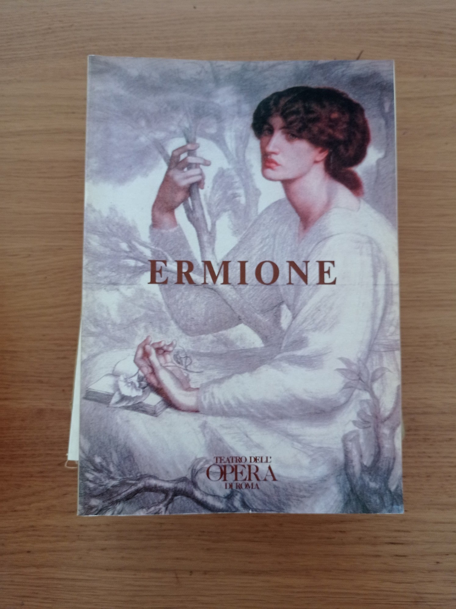 Ermione stagione 1990 - 1991 TEATRO DELL'OPERA DI ROMA - copertina